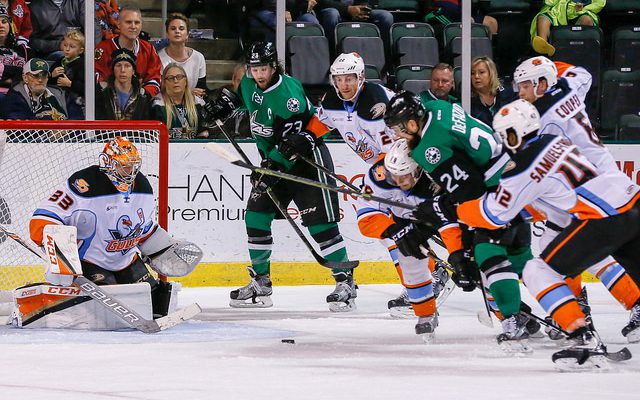 Texas Stars end 2016 with 3-1 loss to San Diego Gulls
