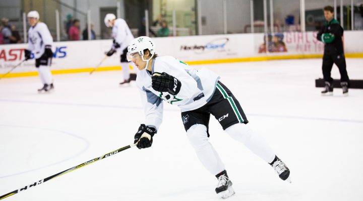 Hanzal and Heiskanen dealing with injuries as Stars prepare for training camp